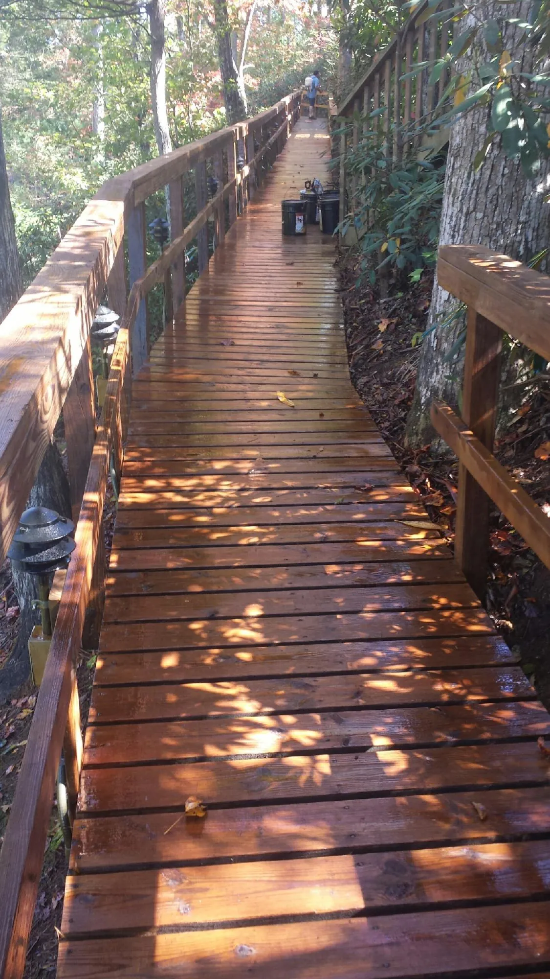 Freshly stained wood walkway winding through the woods in Springfield