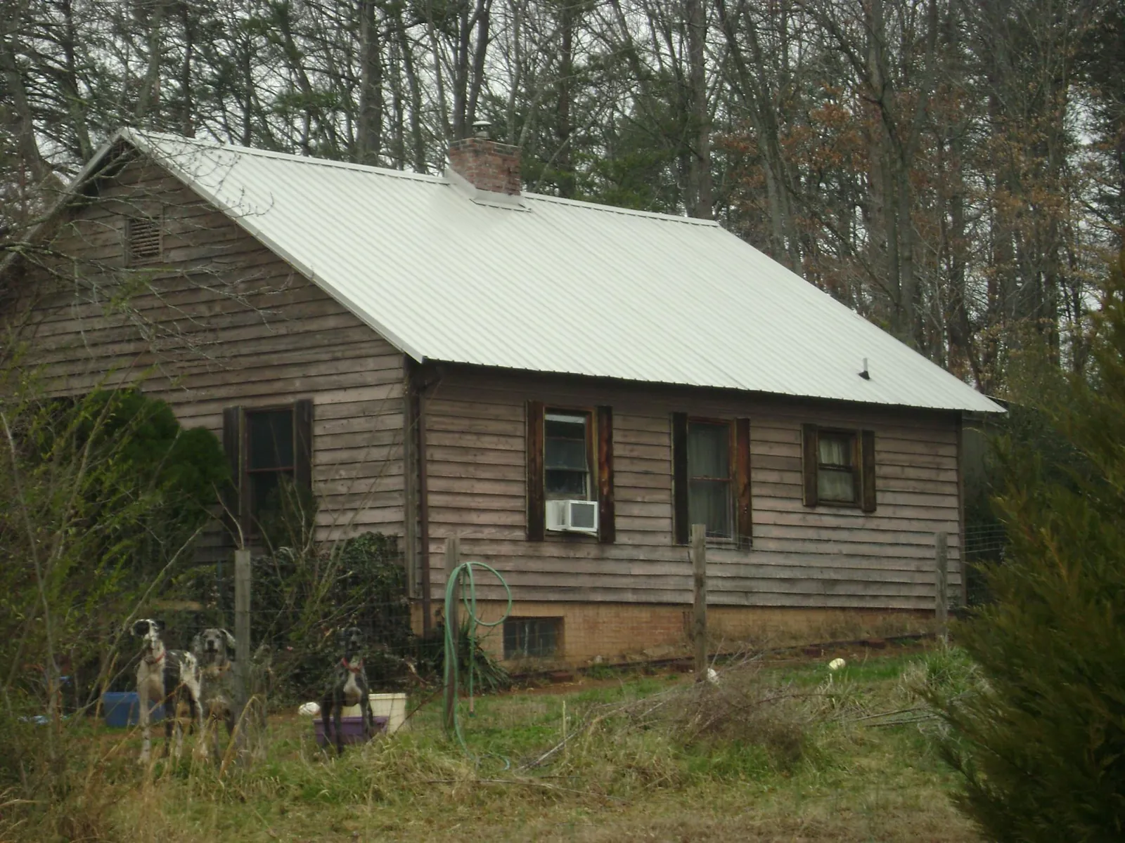 White metal roof on an old wood sided farmhouse, from a Asphalt Shingle Roof Repair job in Springfield